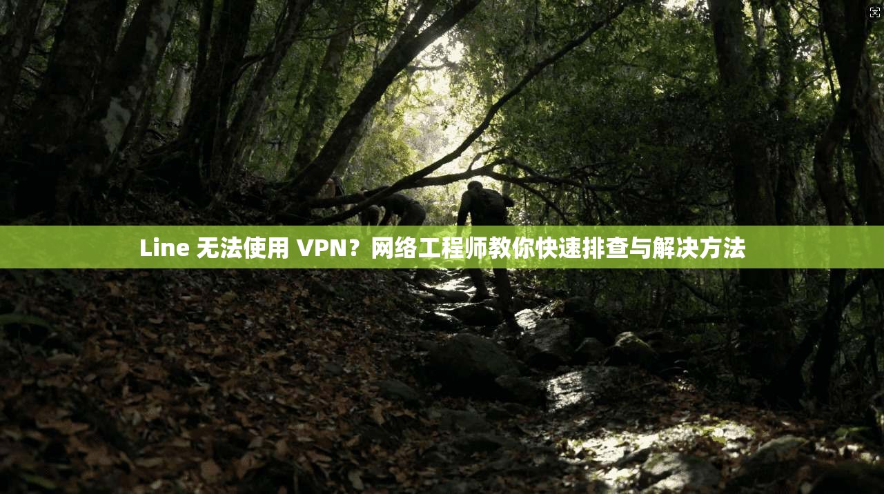 Line 无法使用 VPN？网络工程师教你快速排查与解决方法