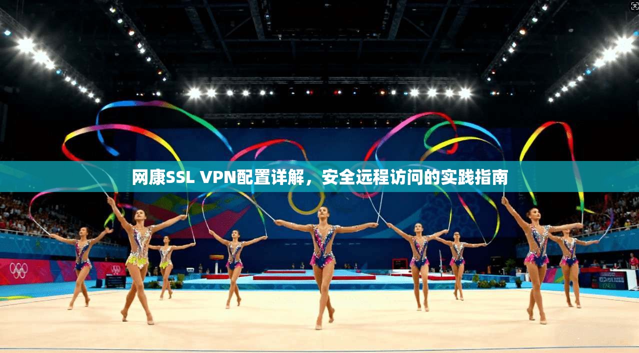 网康SSL VPN配置详解，安全远程访问的实践指南