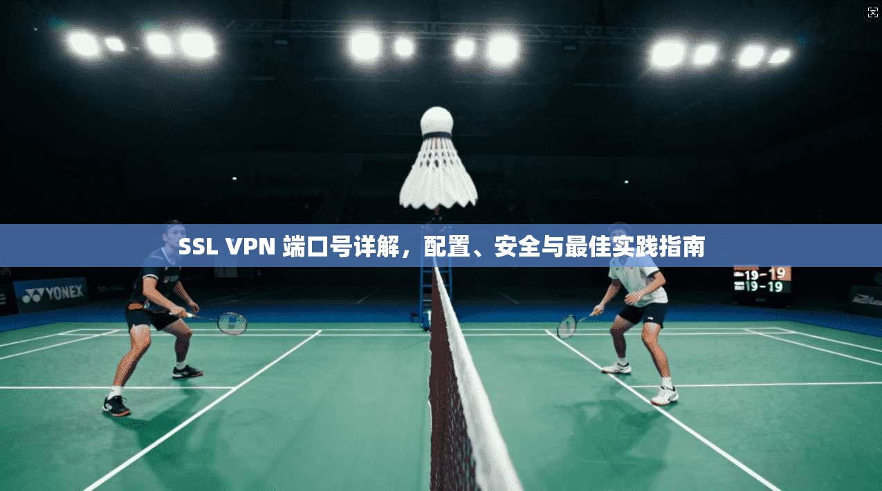 SSL VPN 端口号详解，配置、安全与最佳实践指南