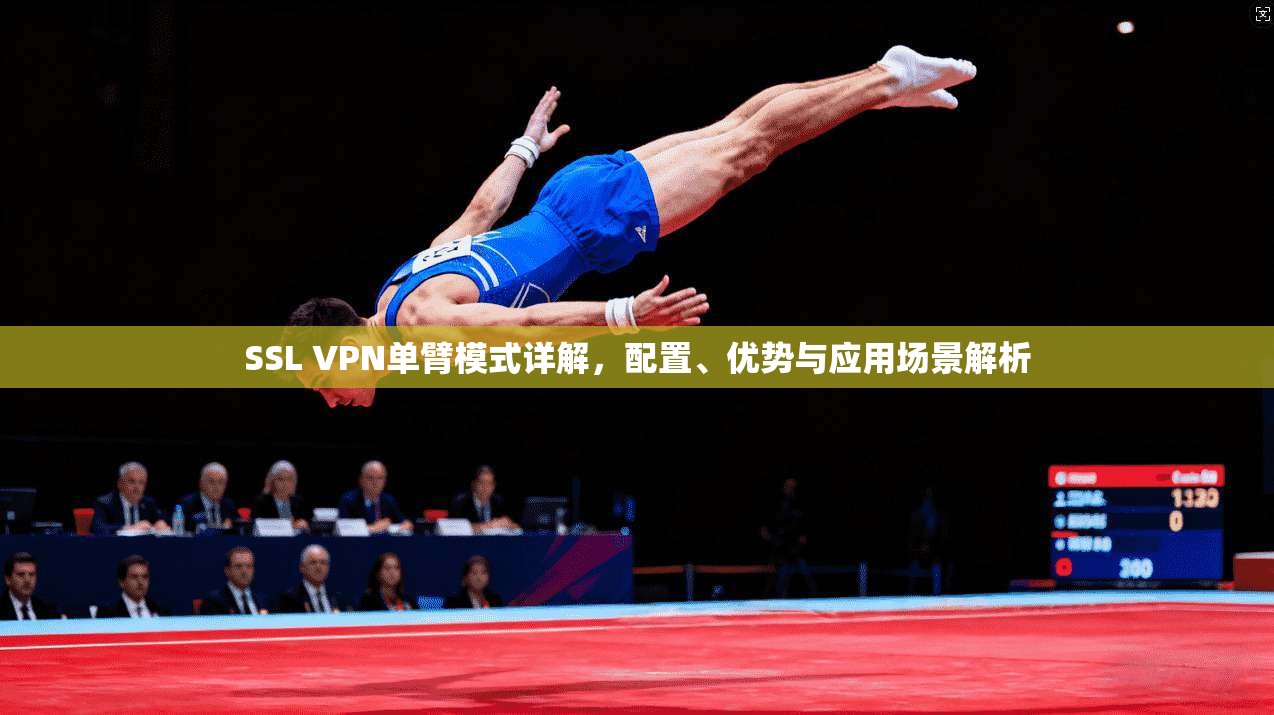 SSL VPN单臂模式详解，配置、优势与应用场景解析