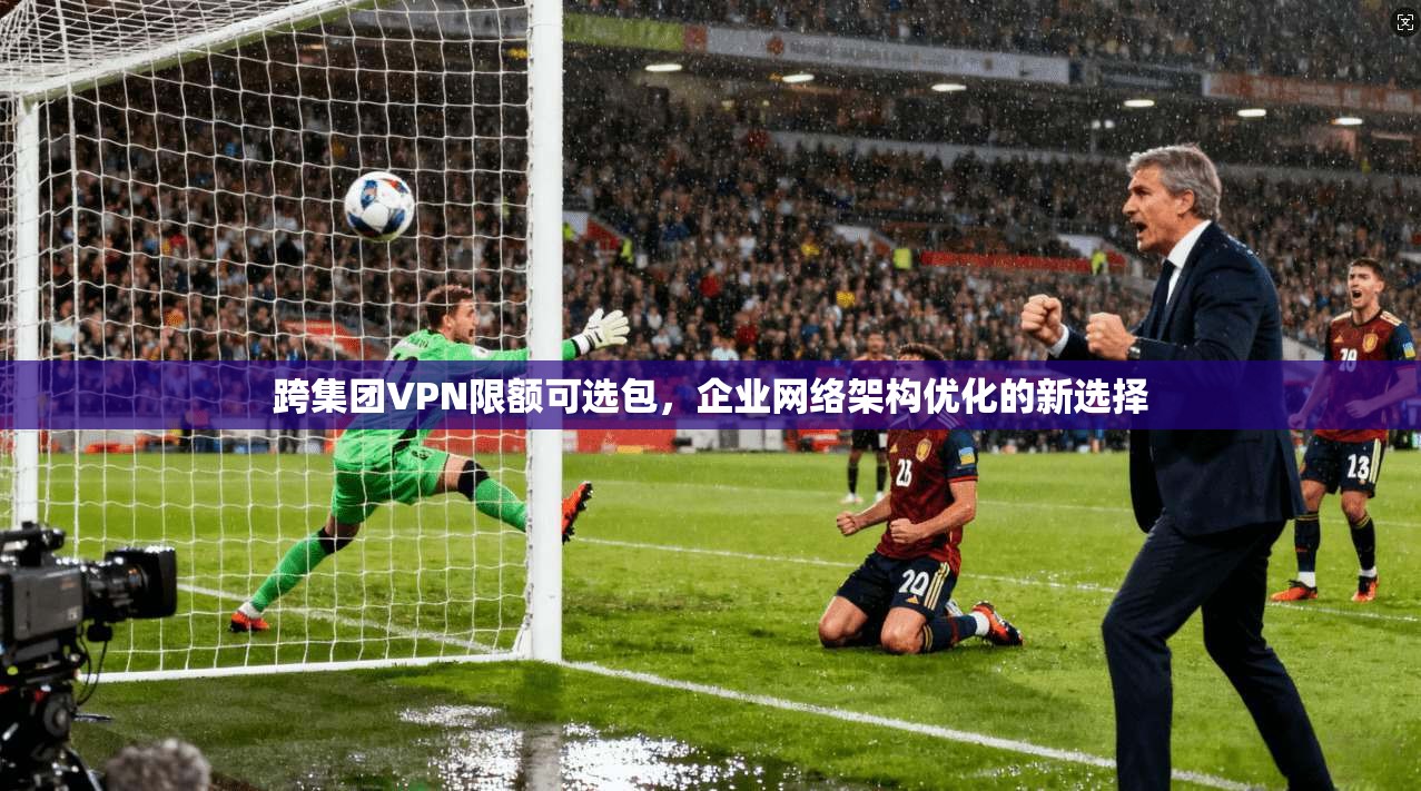 跨集团VPN限额可选包，企业网络架构优化的新选择