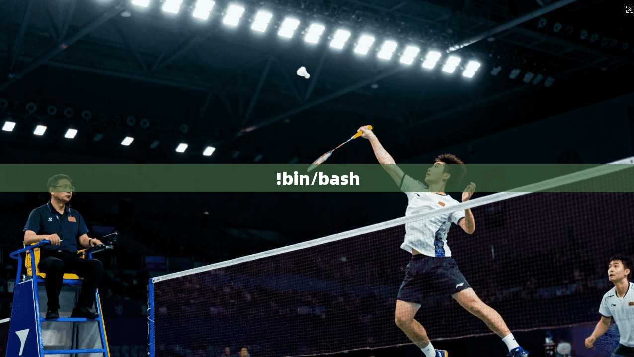 !bin/bash