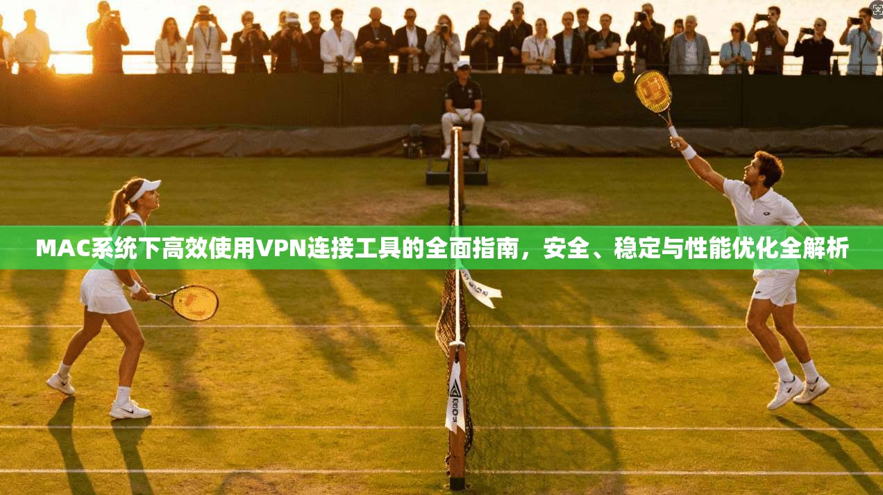 MAC系统下高效使用VPN连接工具的全面指南，安全、稳定与性能优化全解析
