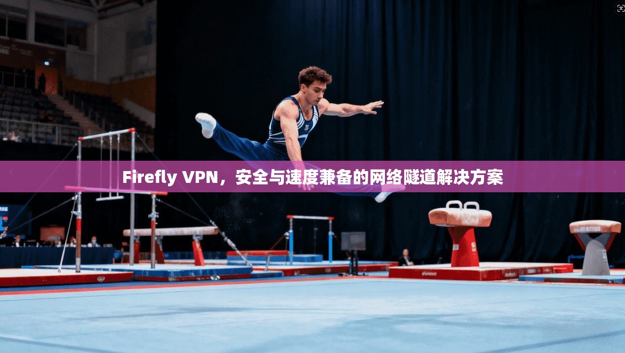 Firefly VPN，安全与速度兼备的网络隧道解决方案