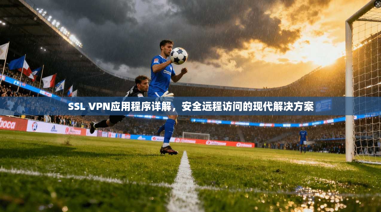 SSL VPN应用程序详解,安全远程访问的现代解决方案
