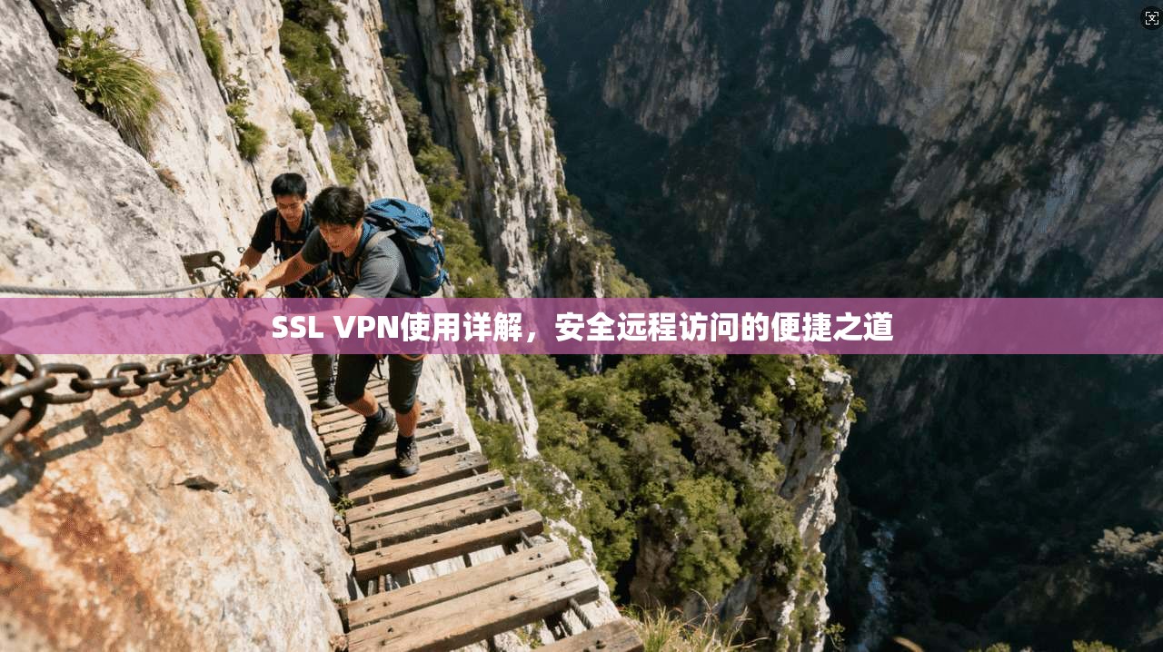 SSL VPN使用详解，安全远程访问的便捷之道