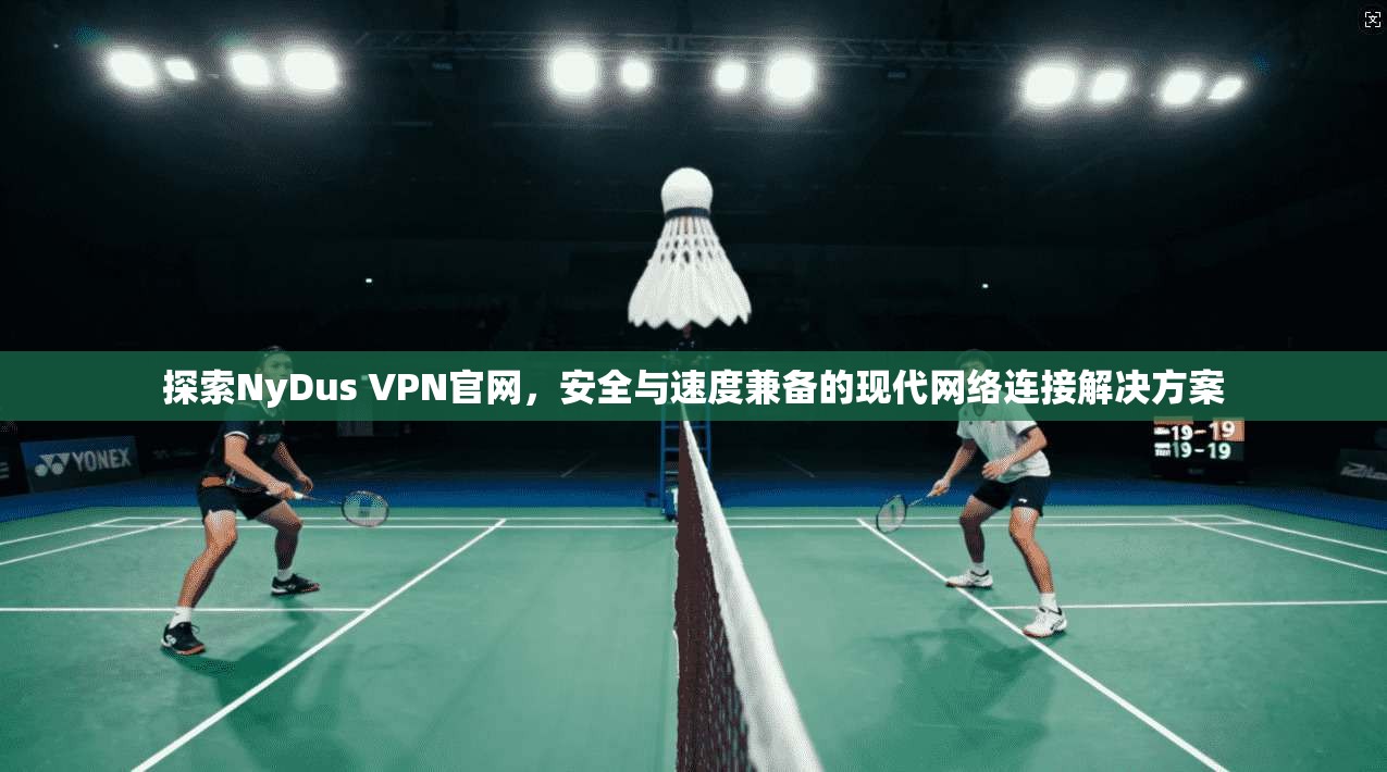 探索NyDus VPN官网，安全与速度兼备的现代网络连接解决方案