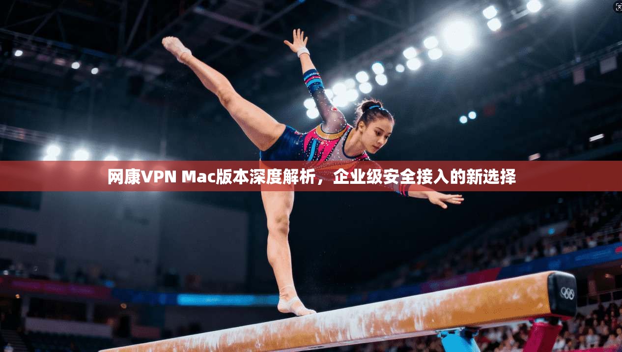 网康VPN Mac版本深度解析，企业级安全接入的新选择