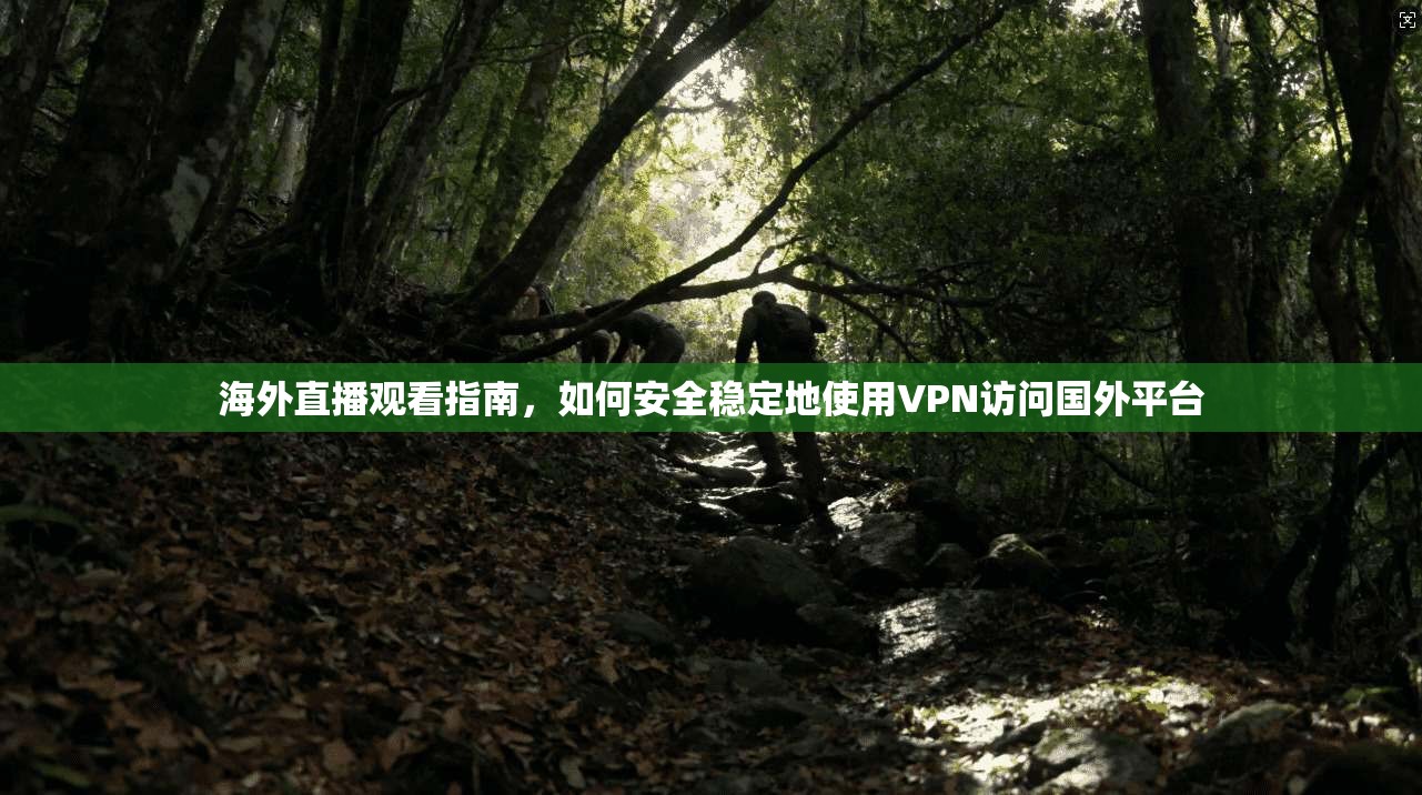 海外直播观看指南，如何安全稳定地使用VPN访问国外平台