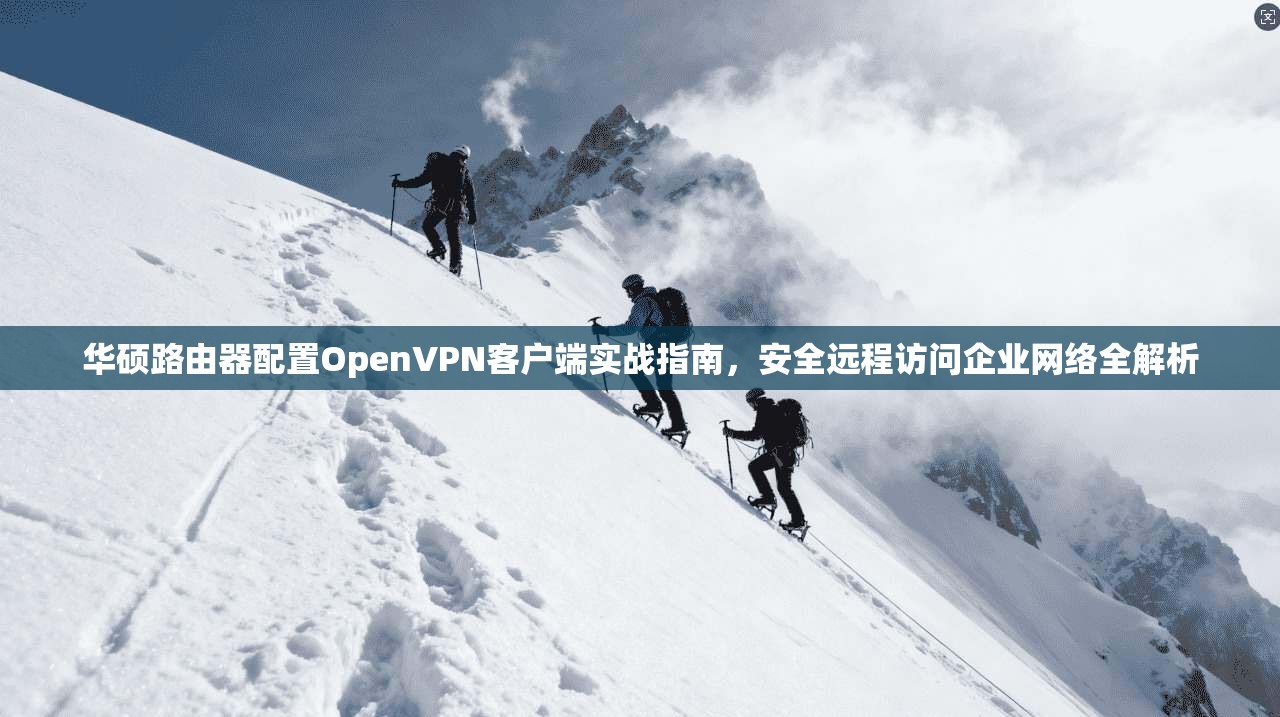 华硕路由器配置OpenVPN客户端实战指南,安全远程访问企业网络全解析