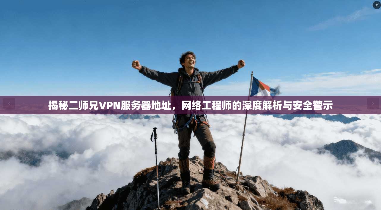 揭秘二师兄VPN服务器地址，网络工程师的深度解析与安全警示