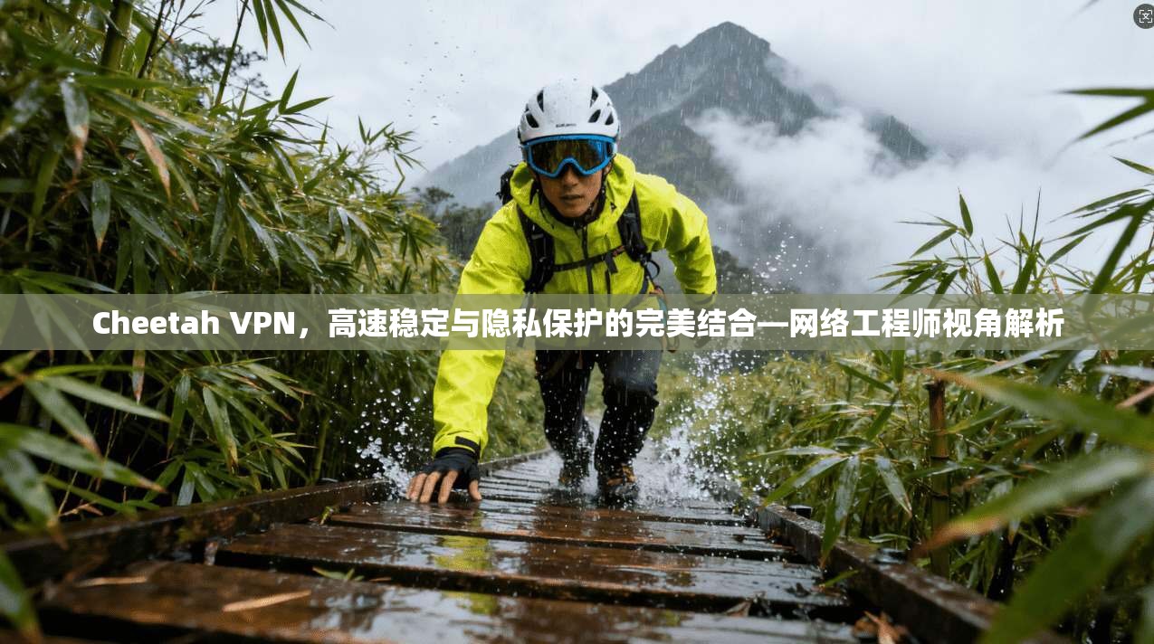 Cheetah VPN，高速稳定与隐私保护的完美结合—网络工程师视角解析