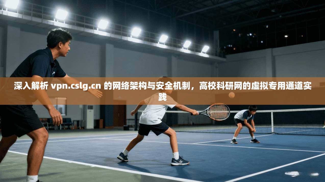 深入解析 vpn.cslg.cn 的网络架构与安全机制,高校科研网的虚拟专用通道实践