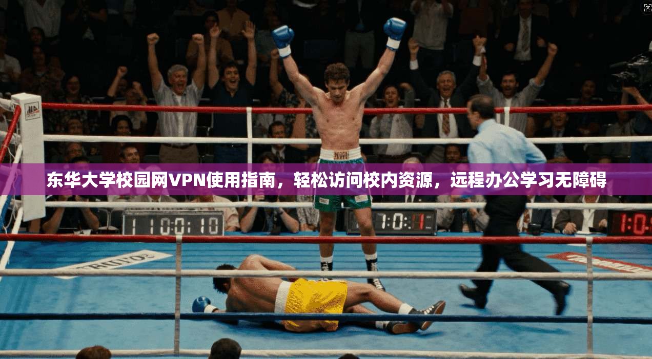 东华大学校园网VPN使用指南，轻松访问校内资源，远程办公学习无障碍