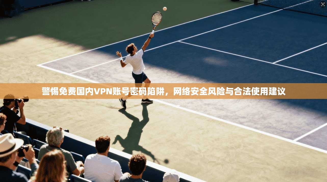 警惕免费国内VPN账号密码陷阱，网络安全风险与合法使用建议