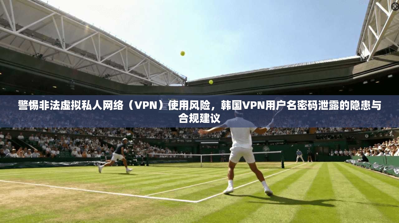警惕非法虚拟私人网络（VPN）使用风险，韩国VPN用户名密码泄露的隐患与合规建议